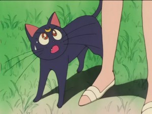 SailorMoon-s1-026(251).JPG