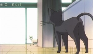 SailormoonS-movie (2049).jpg