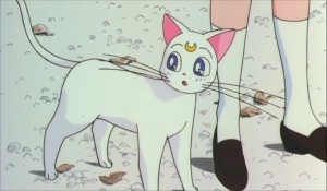 SailormoonS-movie (865).jpg