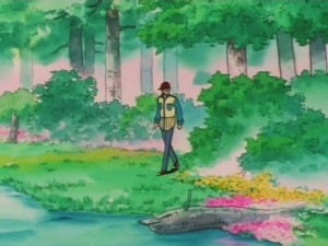 park-forest-02.jpg