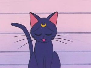 screenshot-anime-sailor-moon-s-episode-093-111.jpg