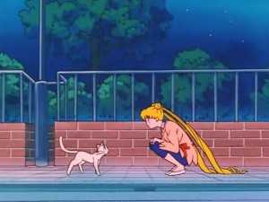 screenshot-anime-sailor-moon-s-episode-097-216.jpg