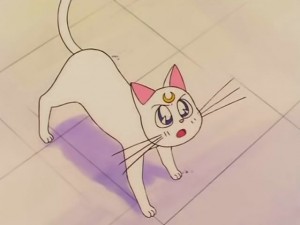 screenshot-anime-sailor-moon-s-episode-100-019.jpg