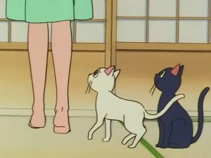 screenshot-anime-sailor-moon-s-episode-100-173.jpg
