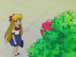 screenshot-anime-sailor-moon-s-episode-100-436.jpg