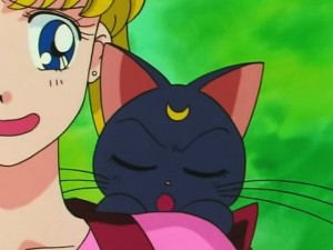 screenshot-anime-sailor-moon-s-episode-105-116.jpg