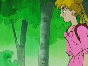 screenshot-anime-sailor-moon-s-episode-105-322.jpg