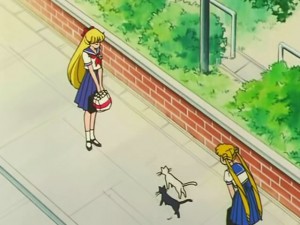 screenshot-anime-sailor-moon-s-episode-109-136.jpg