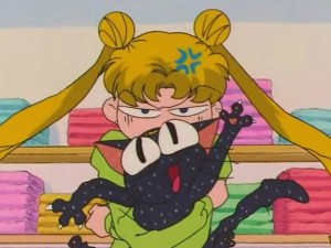 screenshot-anime-sailor-moon-s-episode-116-016.jpg