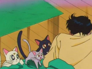 screenshot-anime-sailor-moon-super-s-episode-162-199.jpg