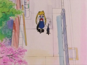 SailorMoon-s1-005(81).jpg