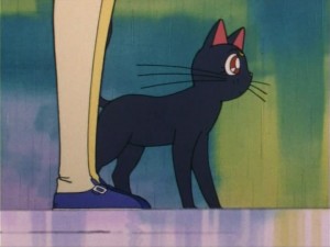 SailorMoon-s1-006(210).jpg