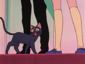 SailorMoon-s1-006(354).jpg