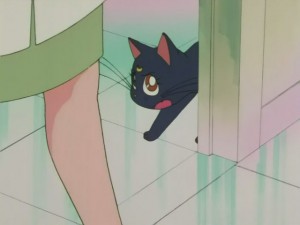 SailorMoon-s1-008(393).JPG