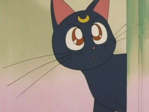 SailorMoon-s1-008(467).JPG