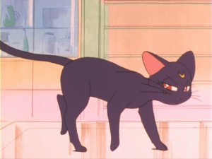 SailorMoon-s1-011(19).jpg