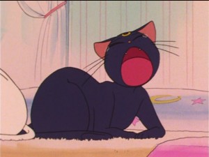 SailorMoon-s1-038(94).JPG