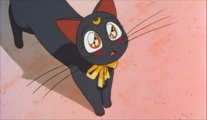 SailormoonS-movie (999).jpg