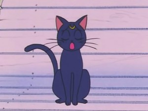 screenshot-anime-sailor-moon-s-episode-093-114.jpg