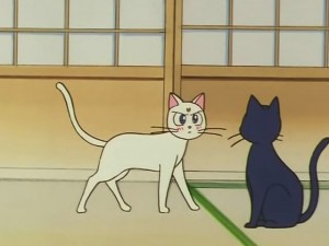 screenshot-anime-sailor-moon-s-episode-100-177.jpg