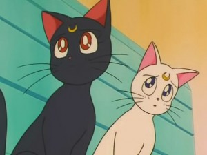 screenshot-anime-sailor-moon-s-episode-121-174.jpg