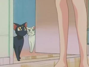 screenshot-anime-sailor-moon-s-episode-123-061.JPG