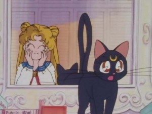 SailorMoon-s1-001(318).jpg