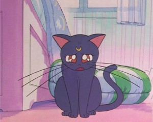 SailorMoon-s1-002(102).JPG