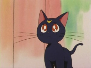 SailorMoon-s1-005(321).jpg