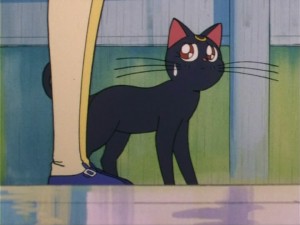 SailorMoon-s1-006(136).jpg