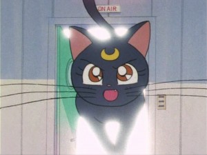 SailorMoon-s1-006(347).jpg