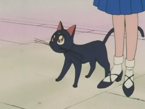 SailorMoon-s1-008(326).JPG