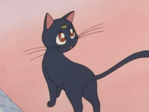 SailorMoon-s1-008(82).JPG