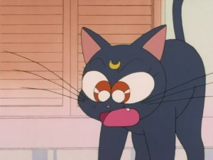SailorMoon-s1-008(90).JPG