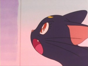 SailorMoon-s1-011(280).jpg