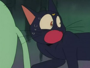 SailorMoon-s1-031(391).JPG