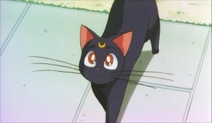 SailormoonS-movie (330).jpg