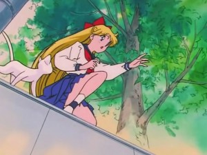 screenshot-anime-sailor-moon-s-episode-094-323.jpg