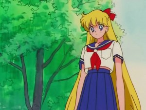 screenshot-anime-sailor-moon-s-episode-100-021.jpg
