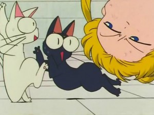 screenshot-anime-sailor-moon-s-episode-104-017.jpg