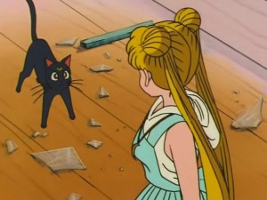 screenshot-anime-sailor-moon-s-episode-107-330.jpg