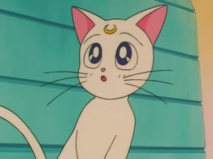 screenshot-anime-sailor-moon-s-episode-121-167.jpg