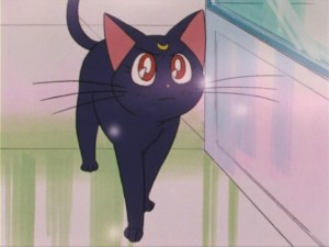 SailorMoon-s1-005(295).jpg