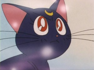 SailorMoon-s1-005(299).jpg