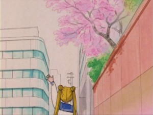 SailorMoon-s1-005(90).jpg