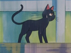 SailorMoon-s1-006(140).jpg