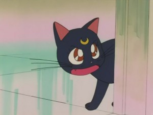 SailorMoon-s1-008(437).JPG