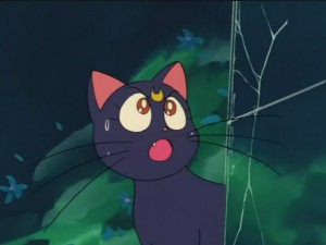 SailorMoon-s1-026(277).JPG