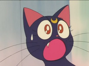 SailorMoon-s1-026(333).JPG