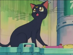SailorMoon-s1-028(219).JPG